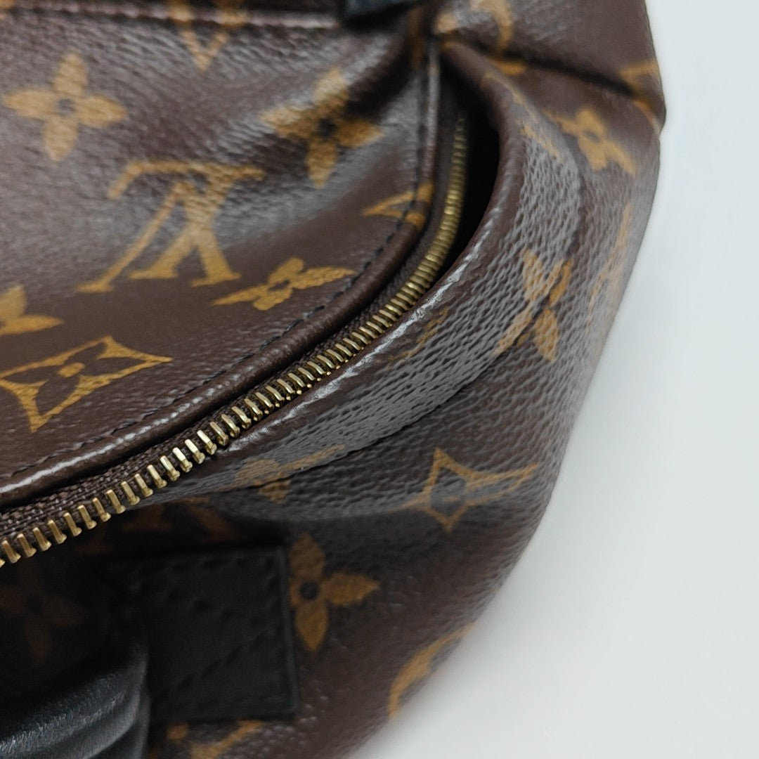 PALM SPRINGS Mini Monogram Coated Canvas Brown