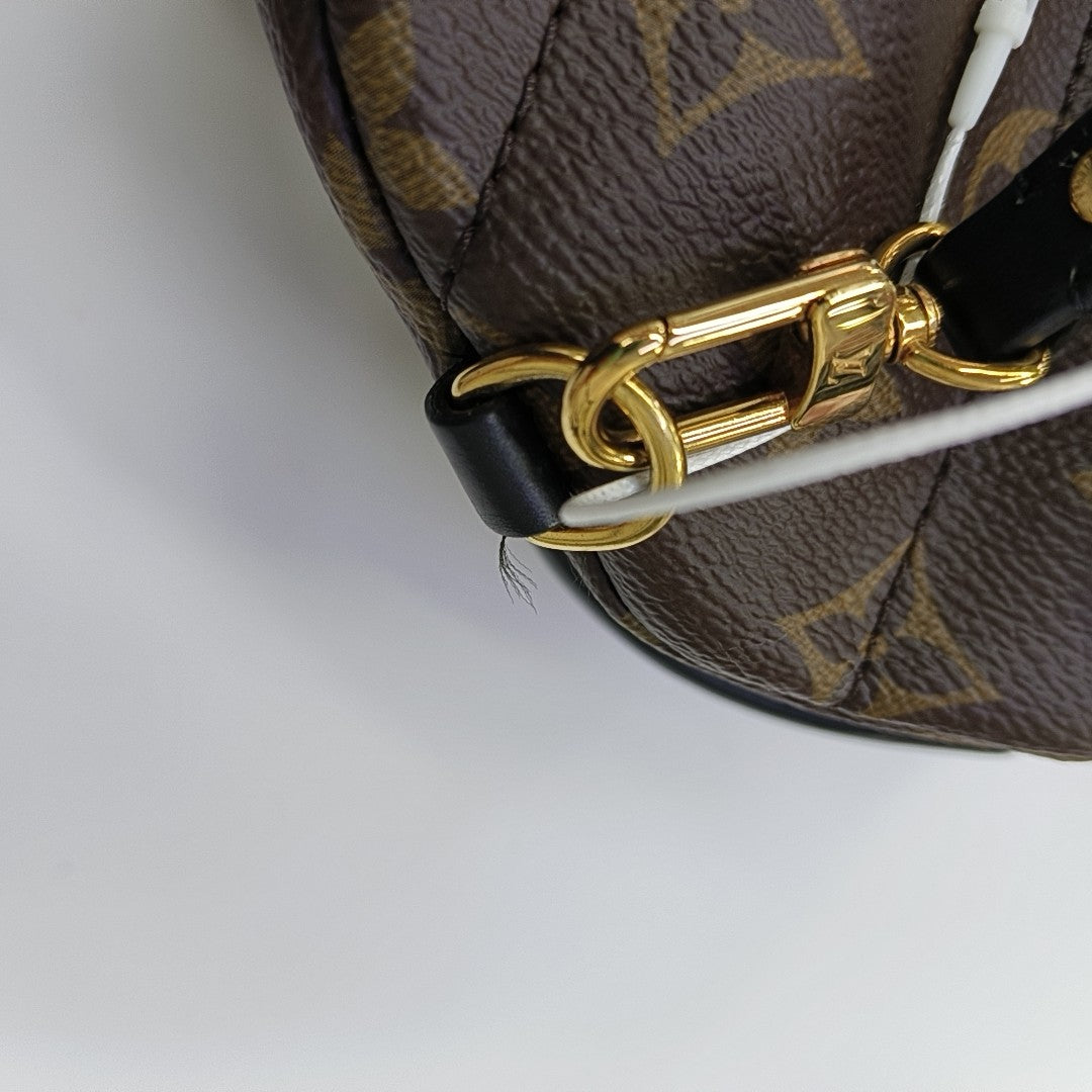 PALM SPRINGS Mini Monogram Coated Canvas Brown