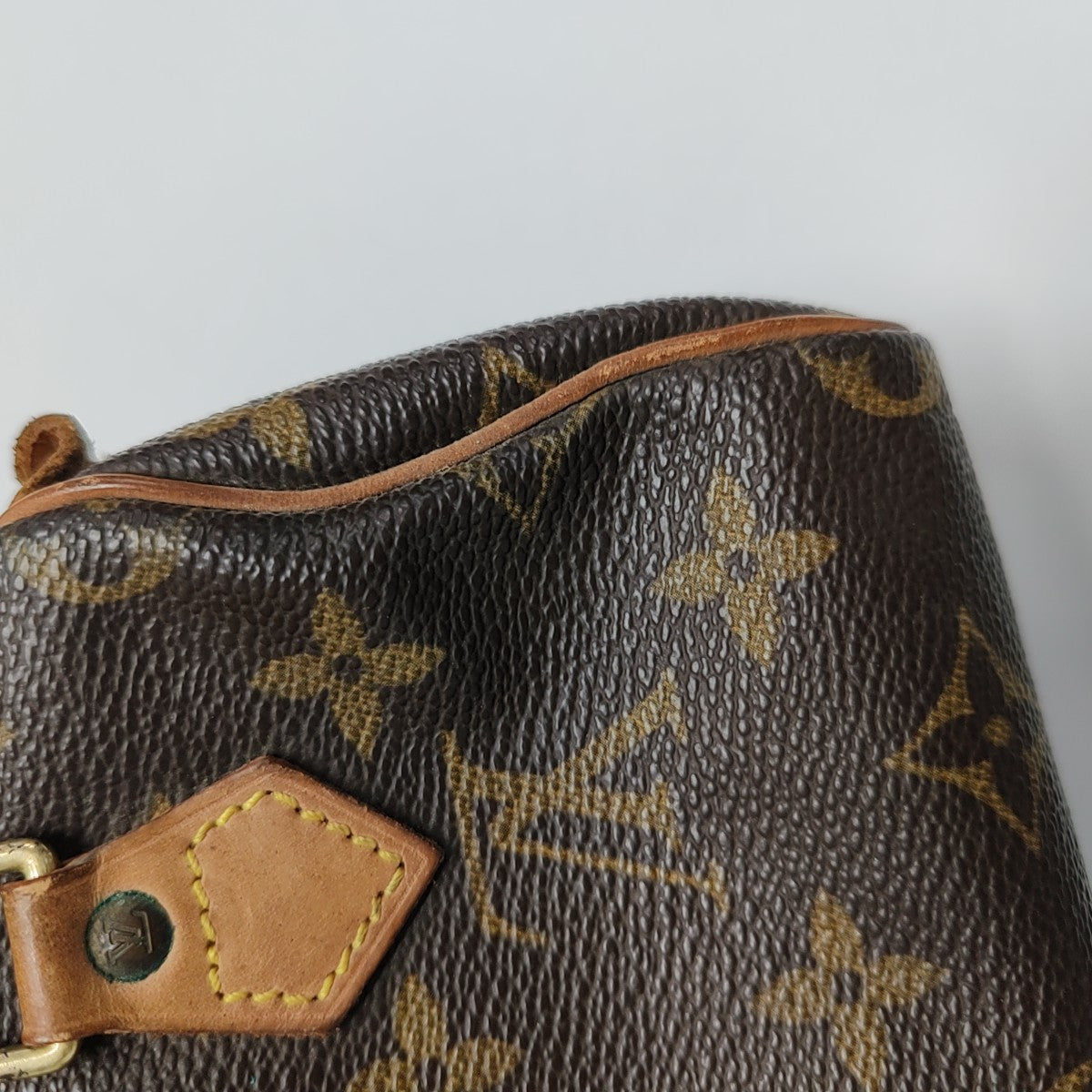SPEEDY Nano Monogram Coated Canvas Brown