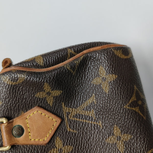 SPEEDY Nano Monogram Coated Canvas Brown