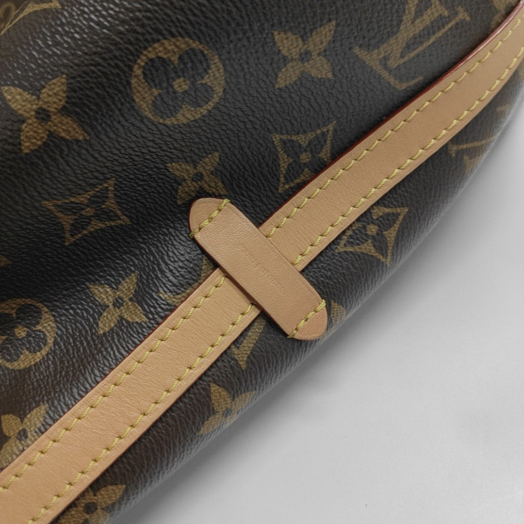 CARRYALL MM Monogram Coated Canvas Brown