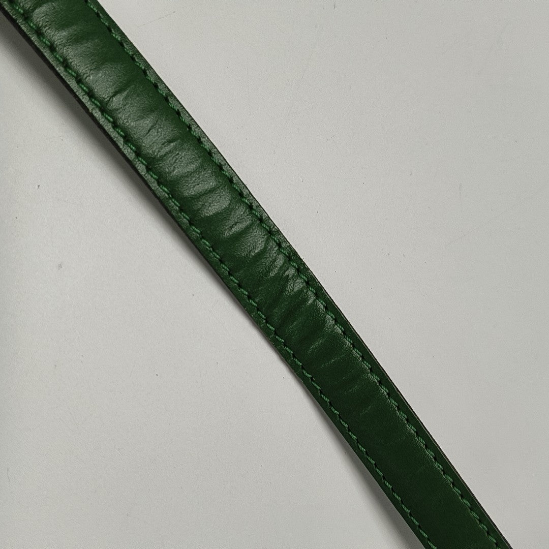 SAINT CLOUD PM Epi Green