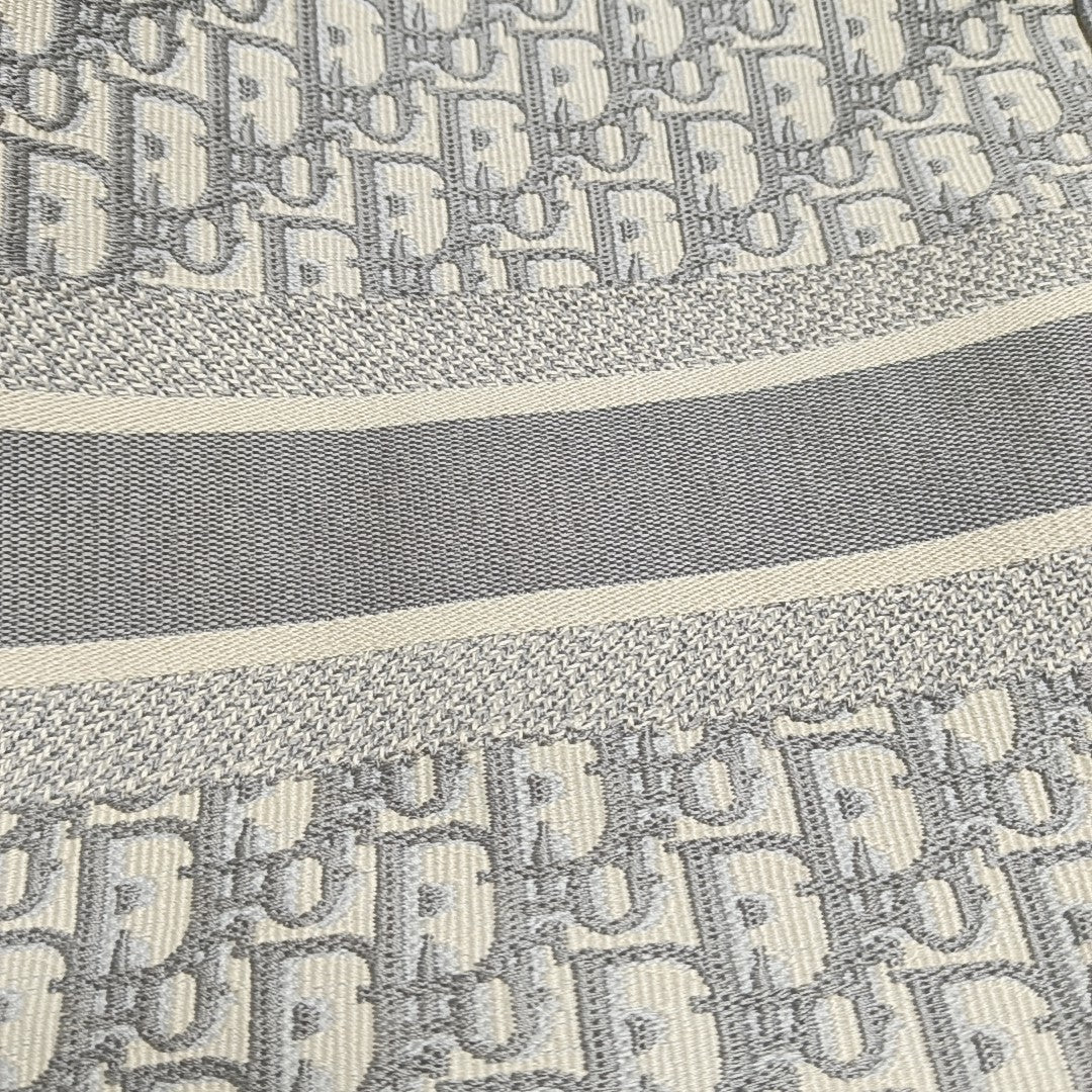 Diorcamp Large Oblique Canvas Gray