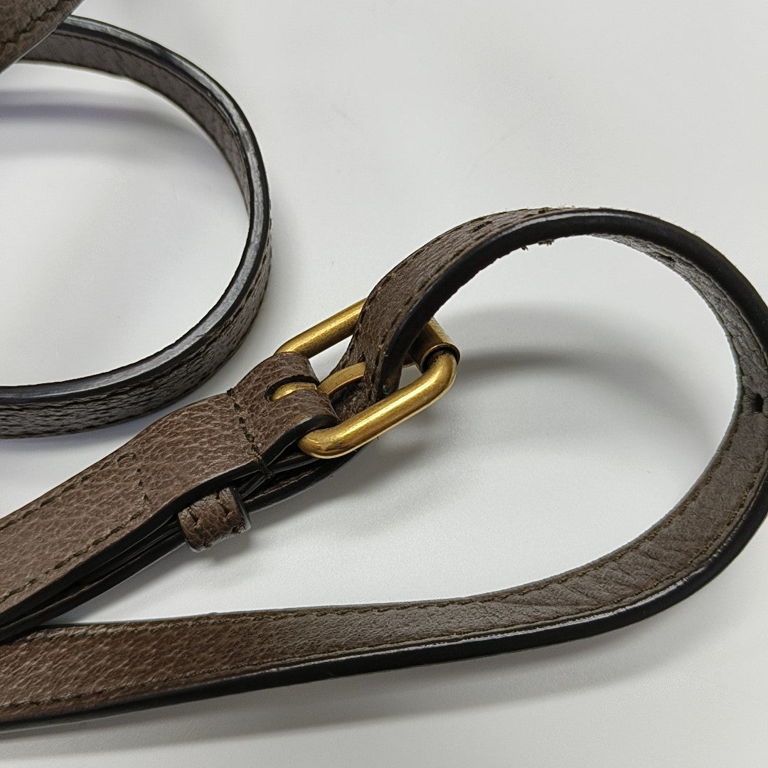 Neo Vintage Mini Monogram Coated Canvas Brown