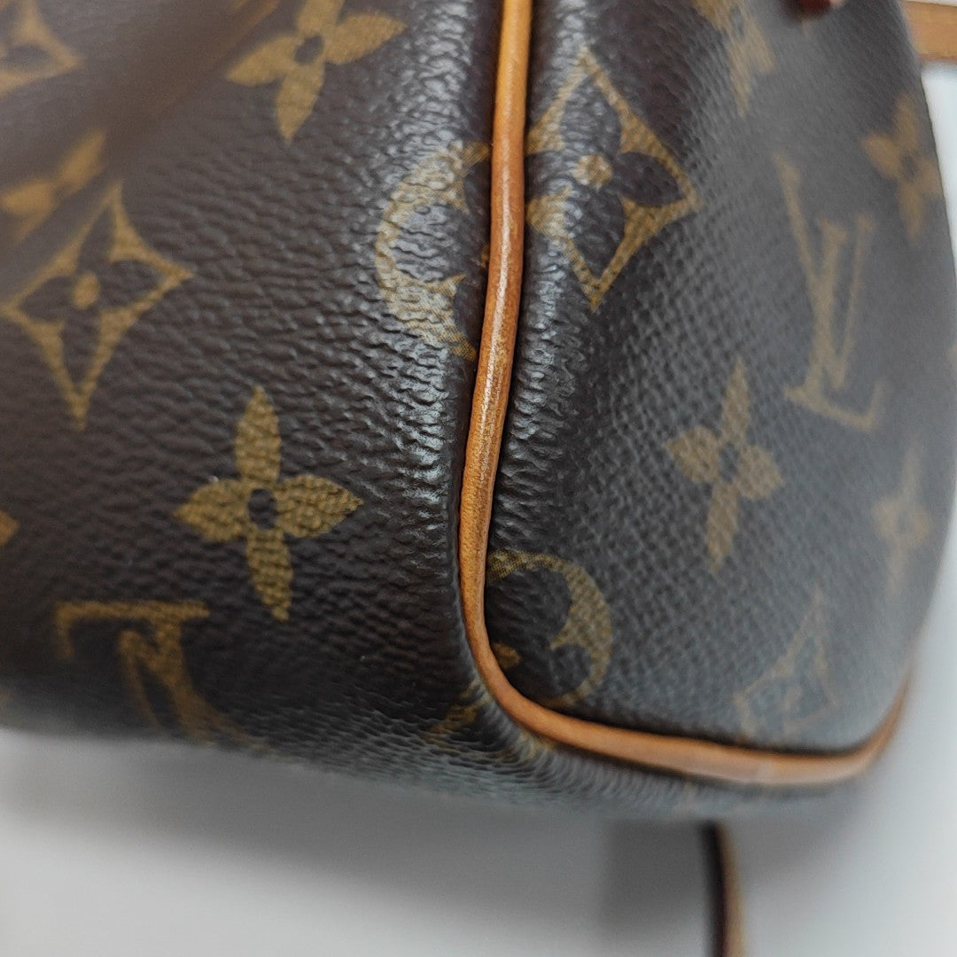 SPEEDY Nano Monogram Coated Canvas Brown