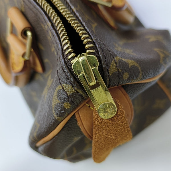 SPEEDY 25 Monogram Coated Canvas Brown