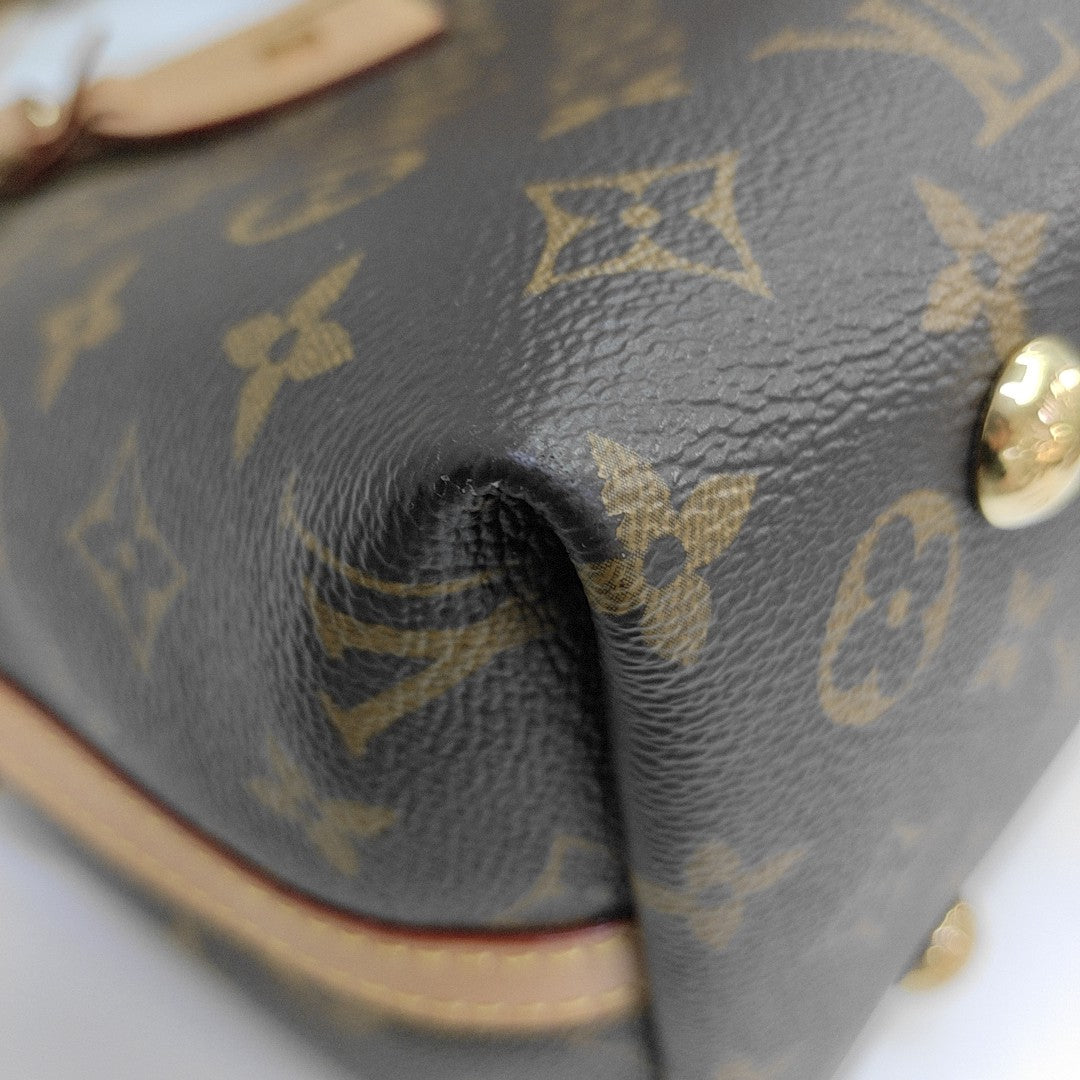 CARRYALL PM Monogram Coated Canvas Brown