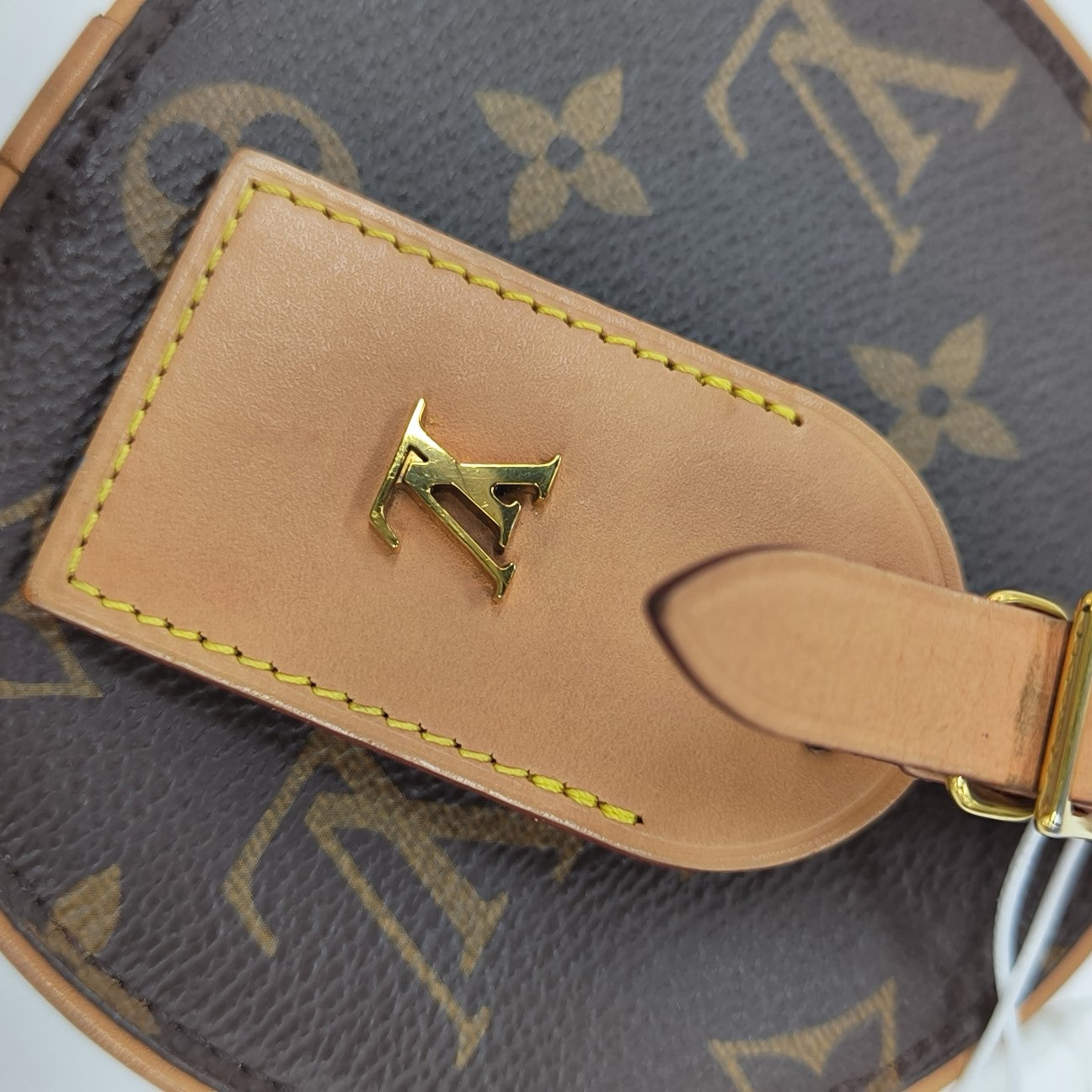 BOITE CHAPEAU Mini Monogram Coated Canvas Brown