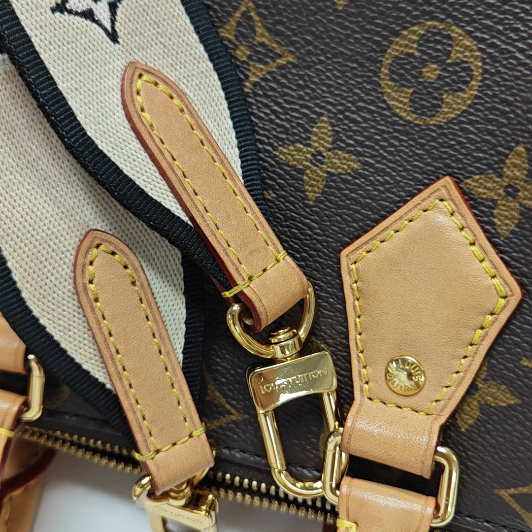 SPEEDY 20 Monogram Coated Canvas Brown