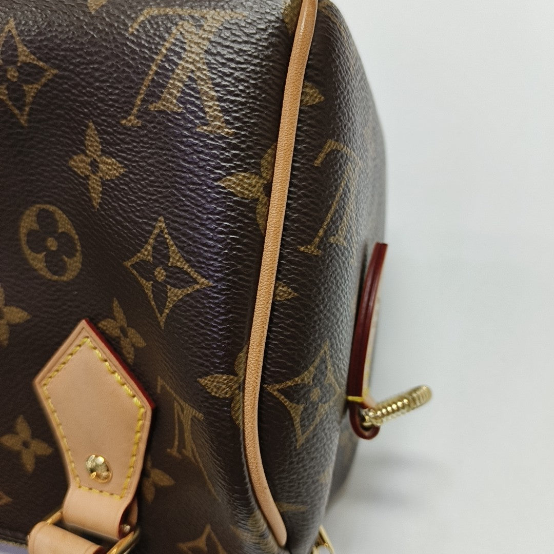 SPEEDY 20 Monogram Coated Canvas Brown