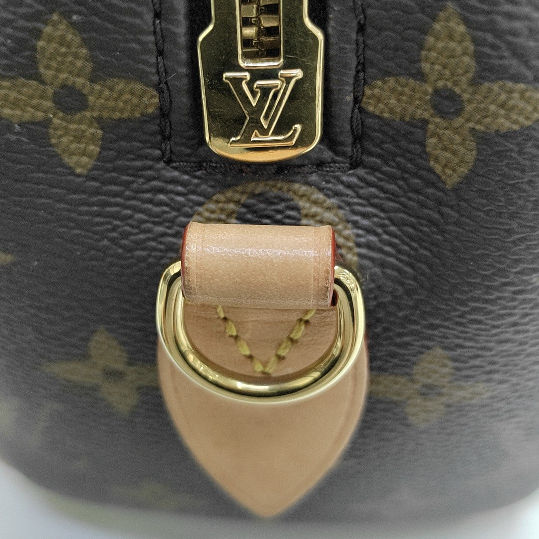 SPEEDY 20 Monogram Coated Canvas Brown