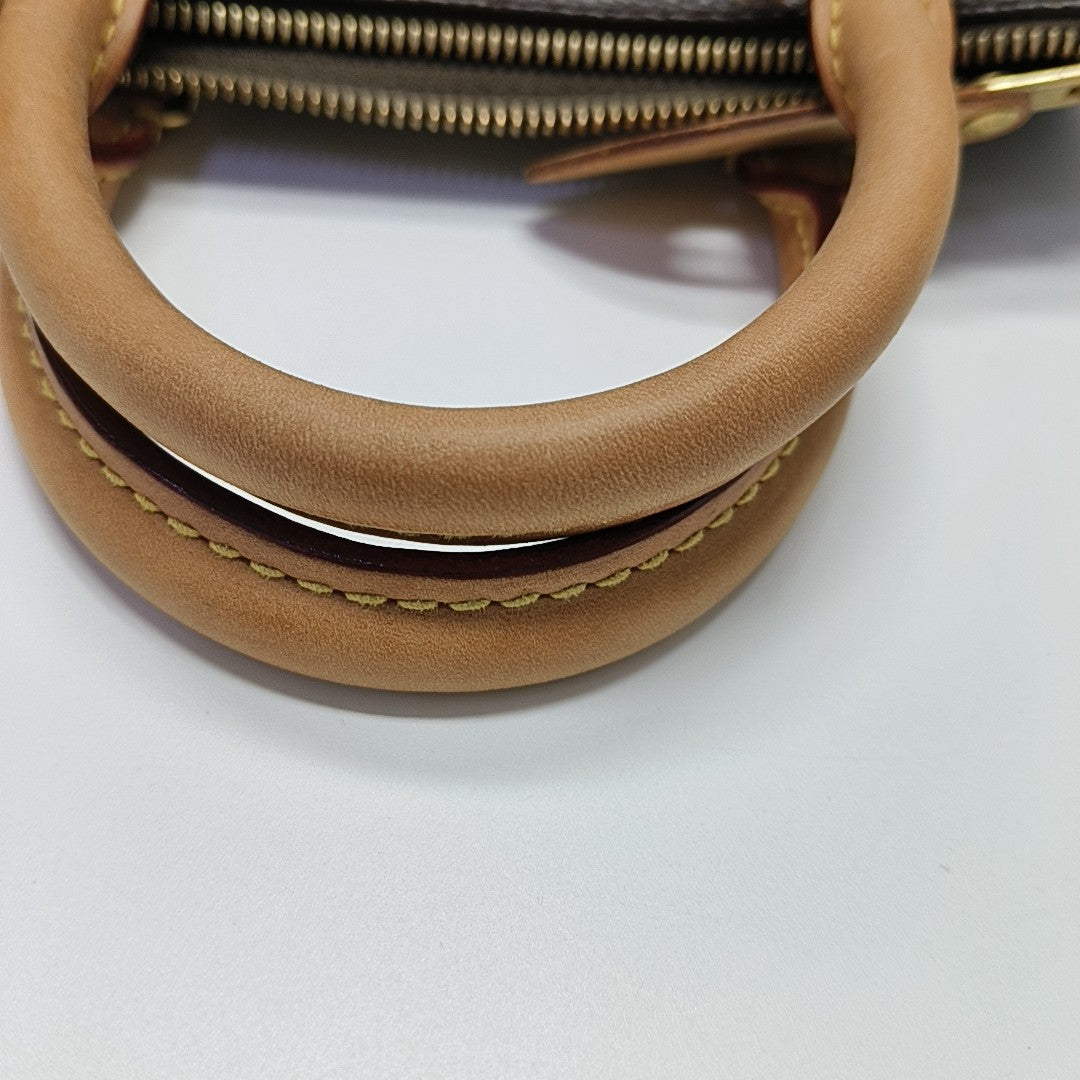 SPEEDY 25 Monogram Coated Canvas Brown