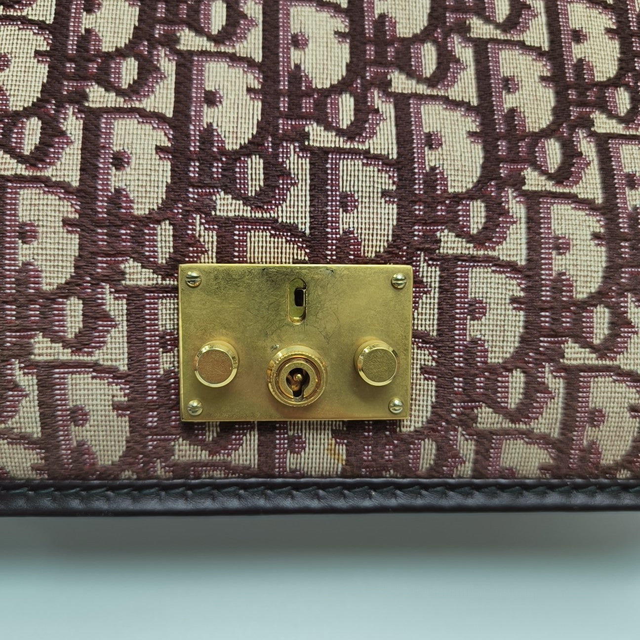 Dioraddict Oblique Canvas Red