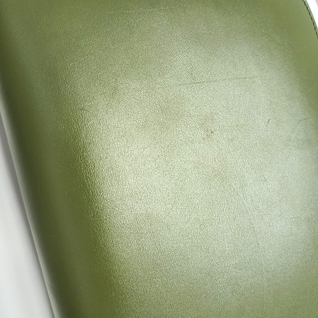 CLASSIC BOX Medium Calfskin Green