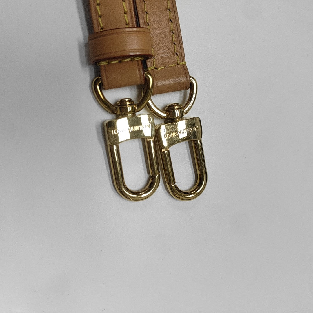 SPEEDY Nano Monogram Coated Canvas Brown