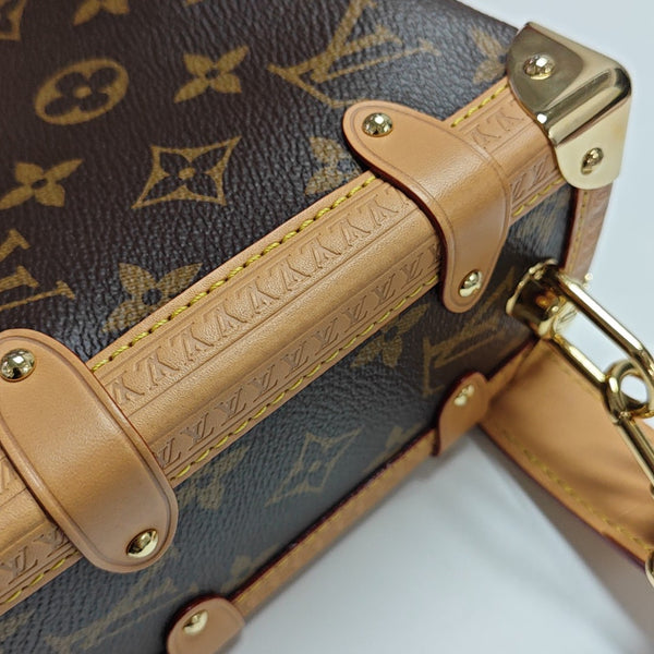 SIDE TRUNK MM Monogram Coated Canvas Brown