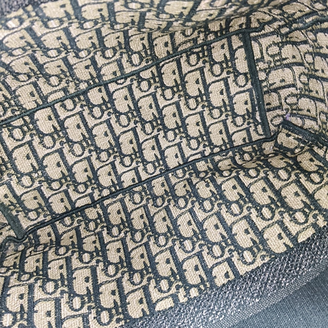 Diorcamp Large Canvas Green