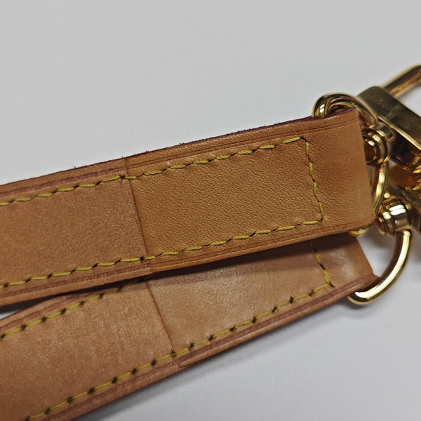 SPEEDY 25 Monogram Coated Canvas Brown