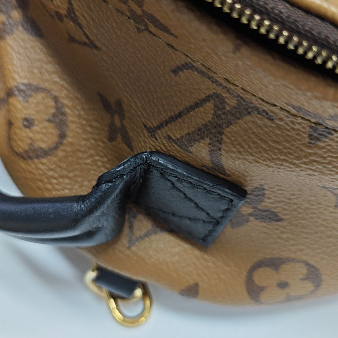 PALM SPRINGS Mini Monogram Coated Canvas Brown