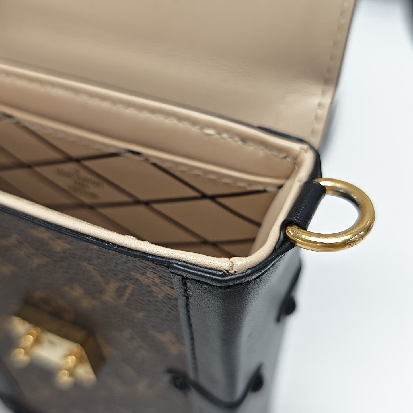 TRUNK Monogram Coated Canvas Brown