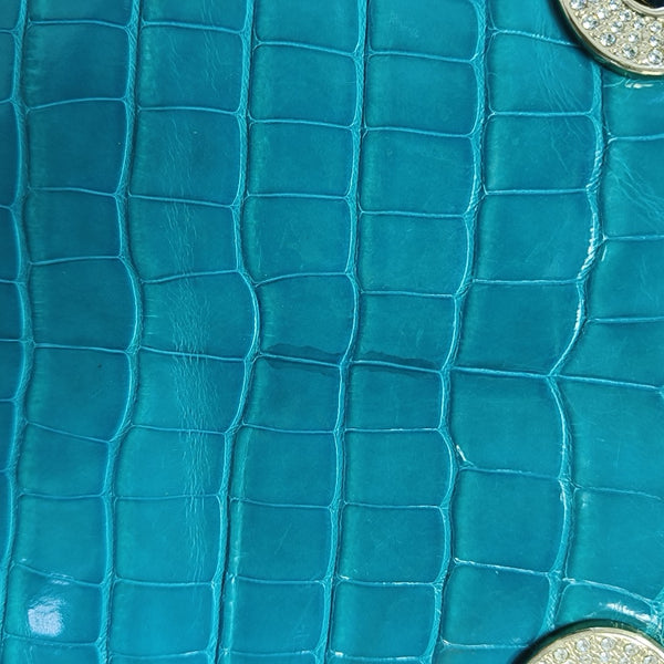 Crocodile Blue