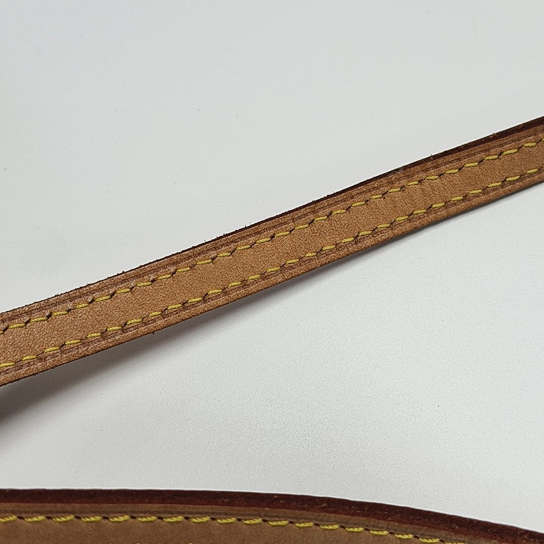SPEEDY Nano Monogram Coated Canvas Brown