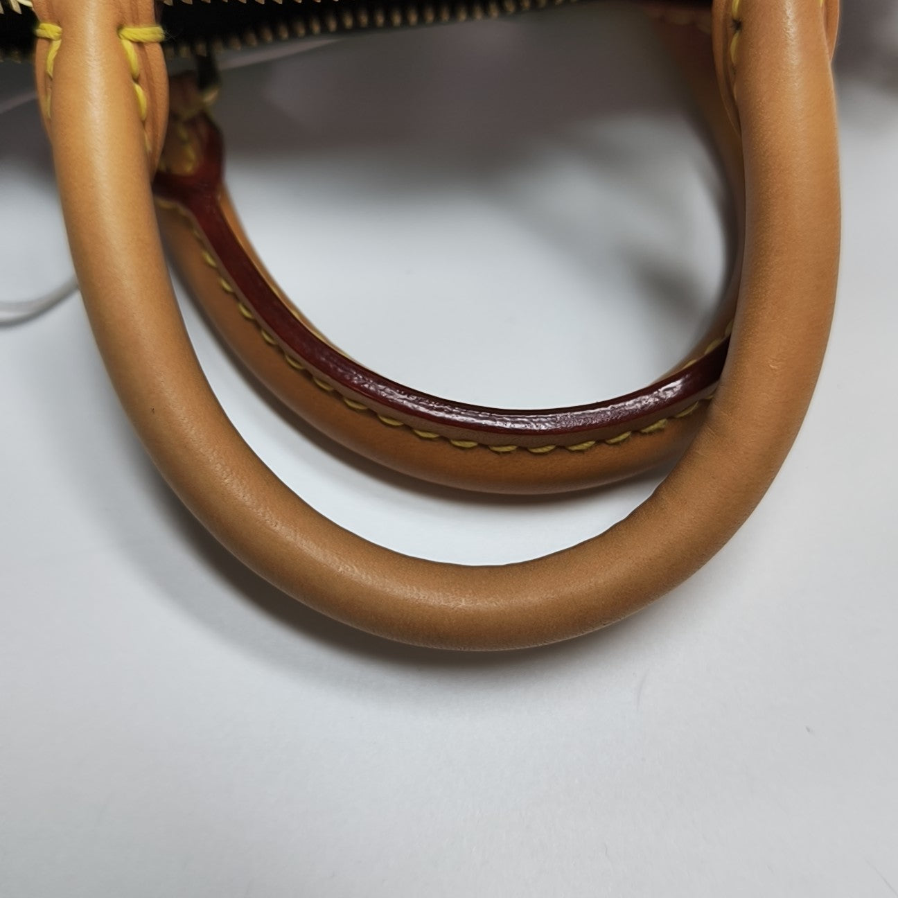 SPEEDY Nano Monogram Coated Canvas Brown