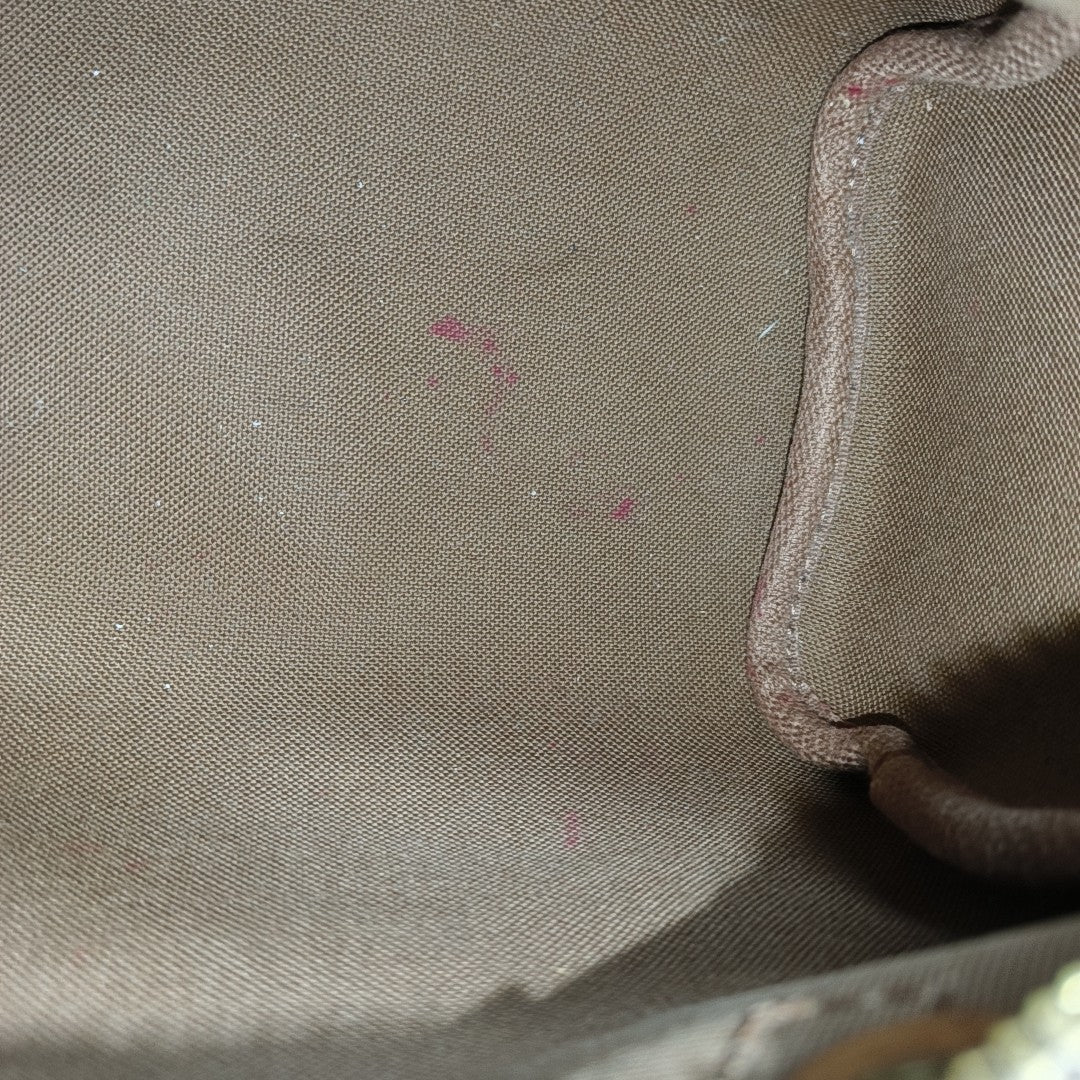 SPEEDY Nano Monogram Coated Canvas Brown