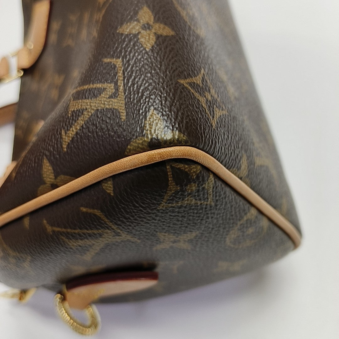SPEEDY 20 Monogram Coated Canvas Brown