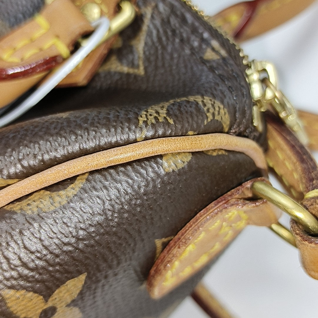 SPEEDY Nano Monogram Coated Canvas Brown