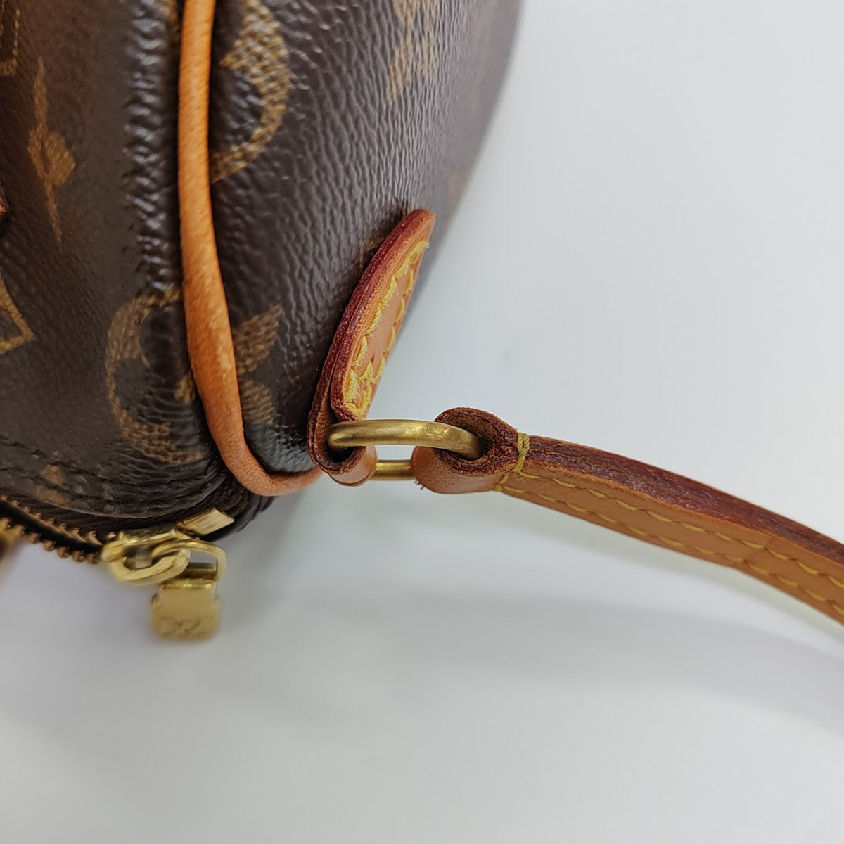 SPEEDY Nano Monogram Coated Canvas Brown