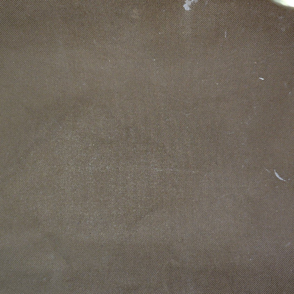 SPEEDY 25 Monogram Coated Canvas Brown