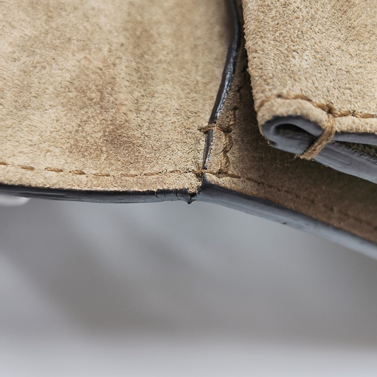 Dionysus Mini Monogram Coated Canvas Beige