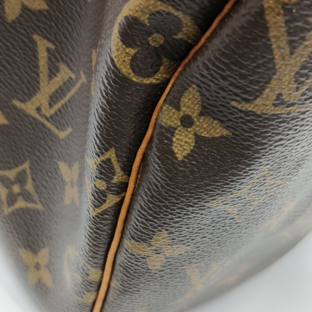 SPEEDY 25 Monogram Coated Canvas Brown