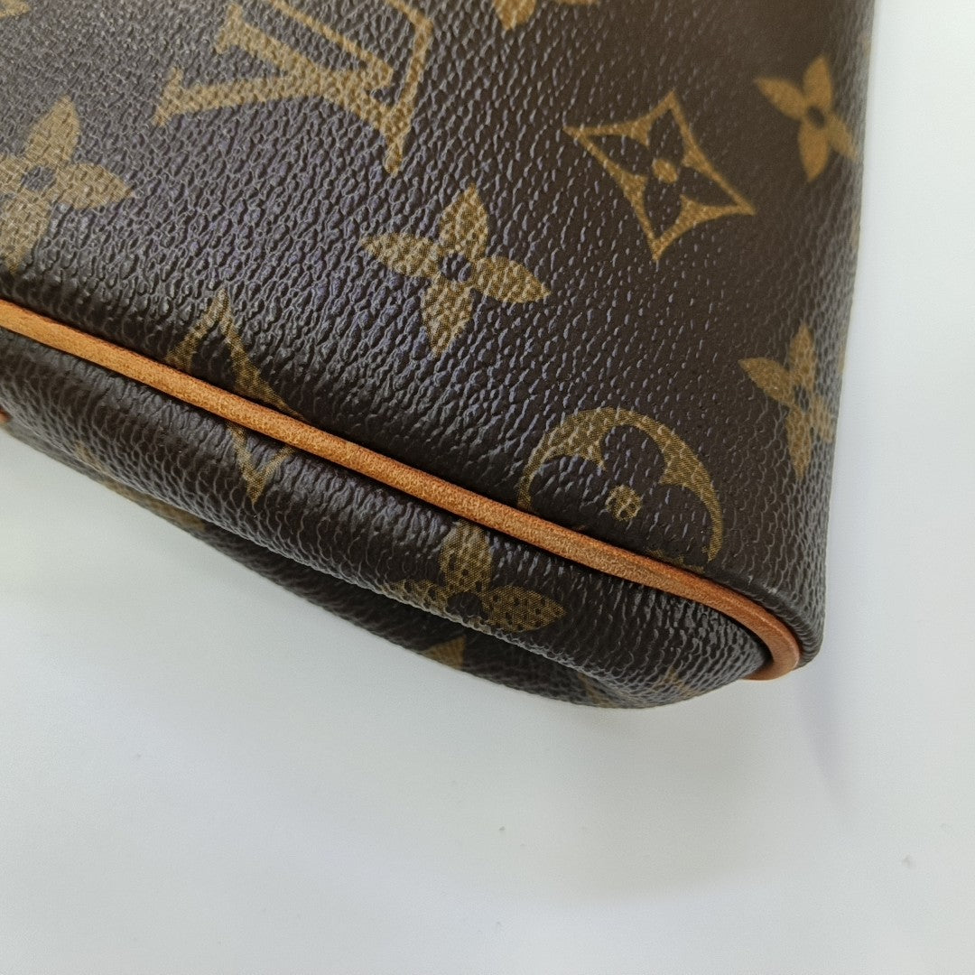 EVA Monogram Coated Canvas Brown