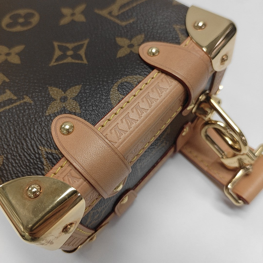 SIDE TRUNK PM Monogram Coated Canvas Brown