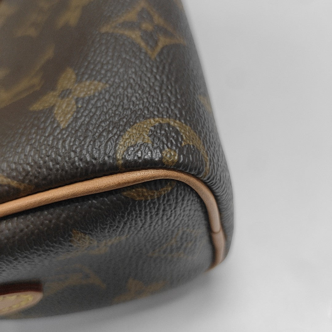 SPEEDY Nano Monogram Coated Canvas Brown