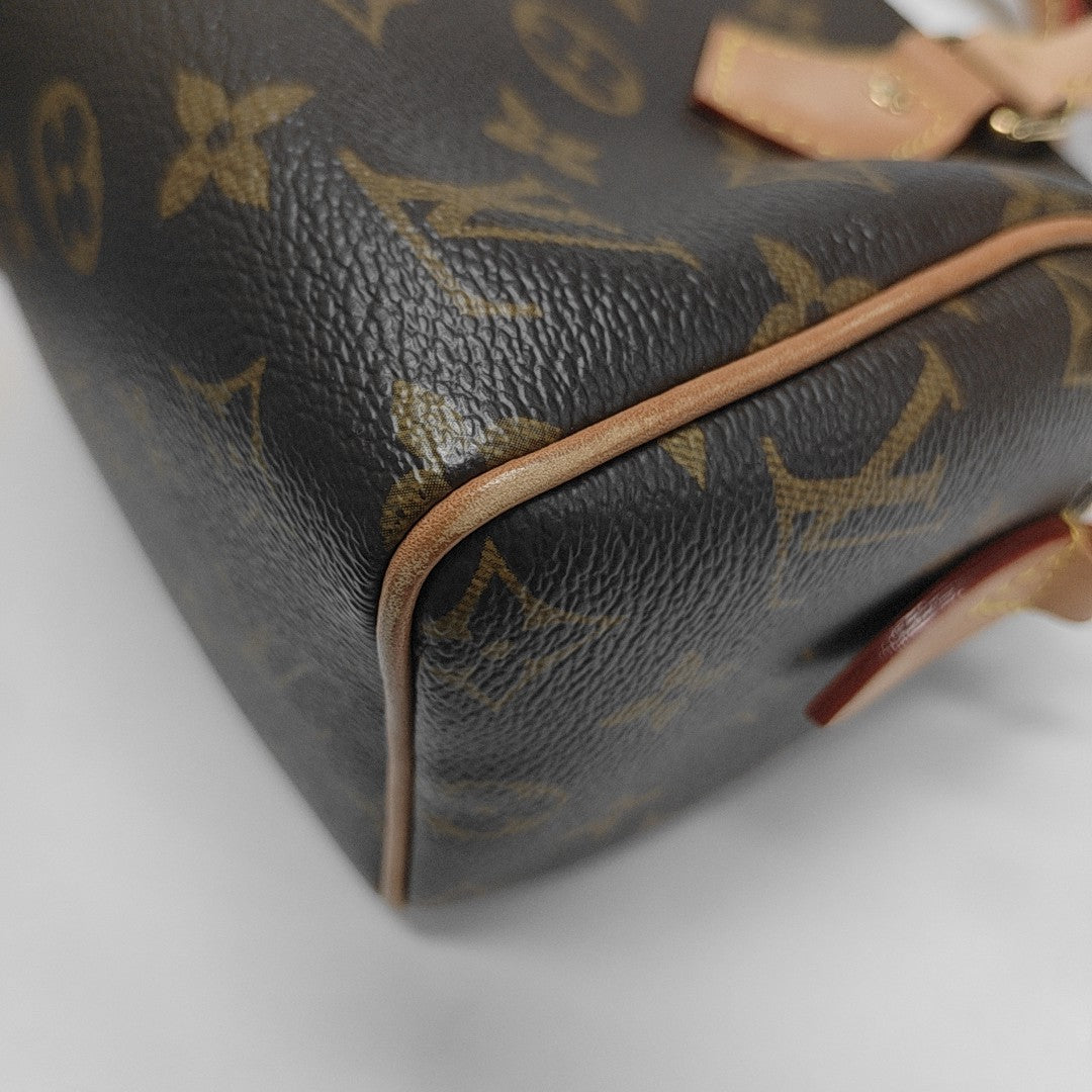 SPEEDY 20 Monogram Coated Canvas Brown