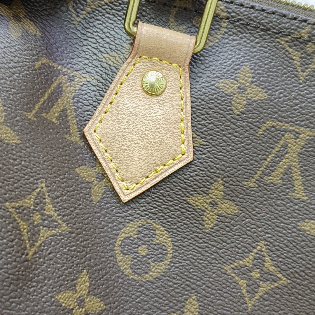 SPEEDY 25 Monogram Coated Canvas Brown