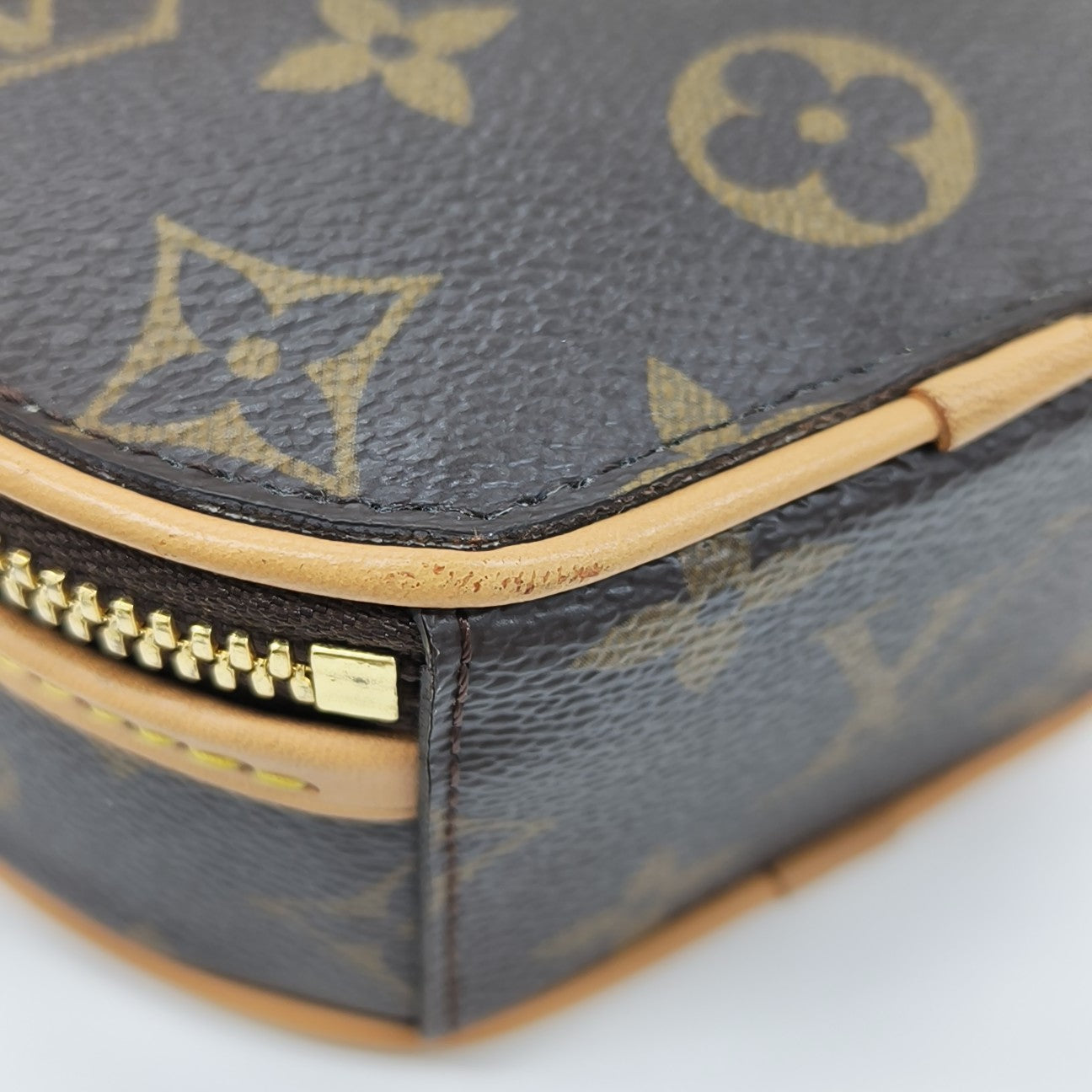 BOITE CHAPEAU Mini Monogram Coated Canvas Brown