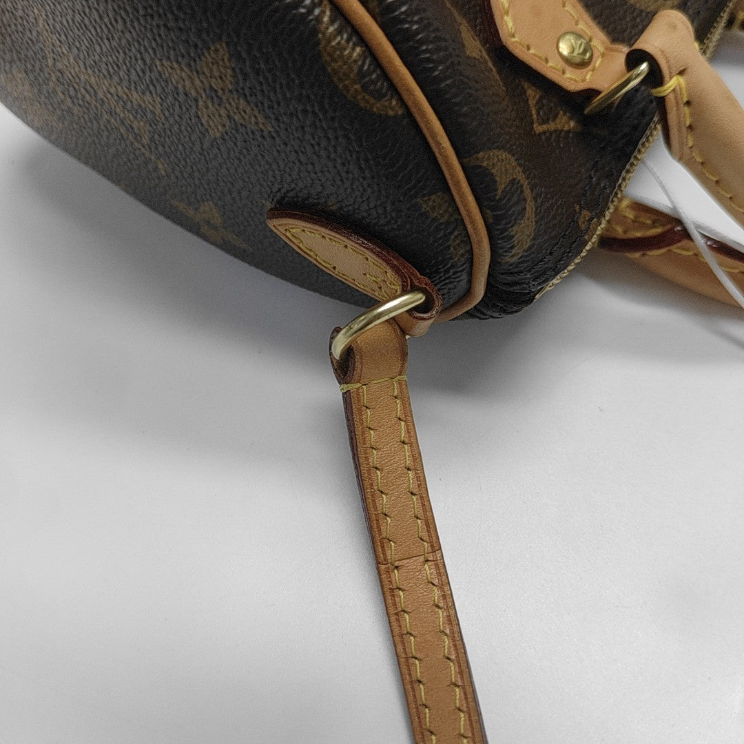 SPEEDY Nano Monogram Coated Canvas Brown