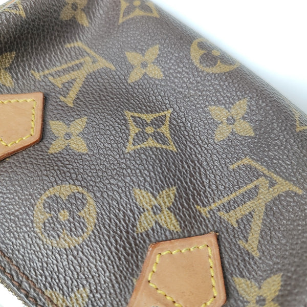 SPEEDY Nano Monogram Coated Canvas Brown