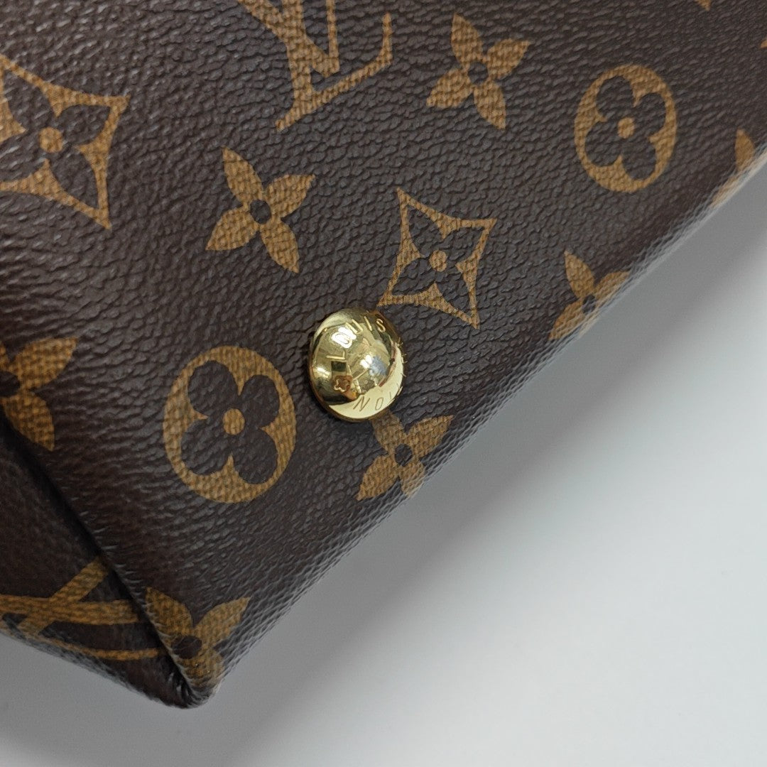 CARRYALL PM Monogram Coated Canvas Brown