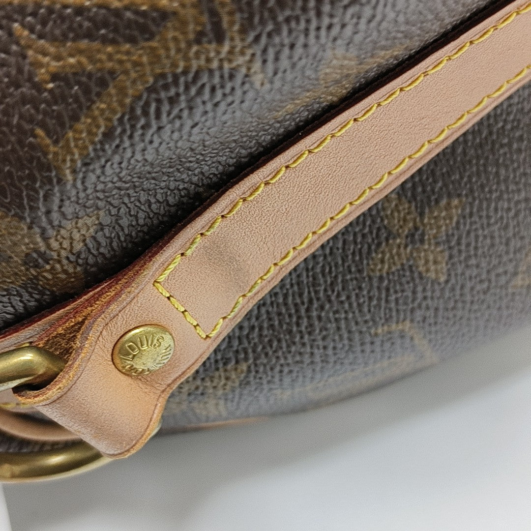 SPEEDY 25 Monogram Coated Canvas Brown