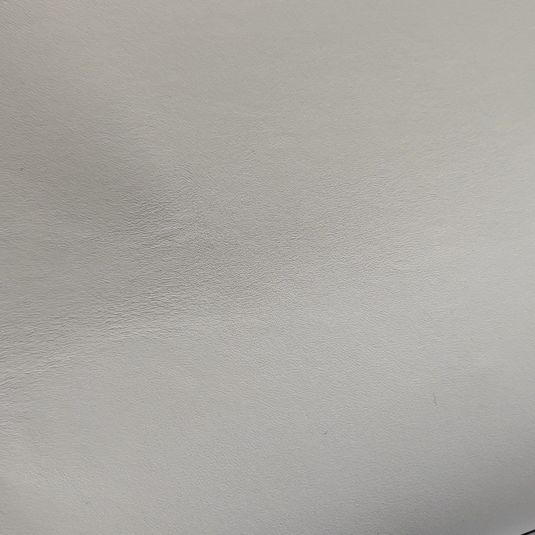 Sunshine Medium Calfskin White