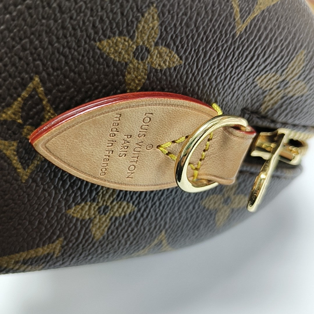 SPEEDY 20 Monogram Coated Canvas Brown