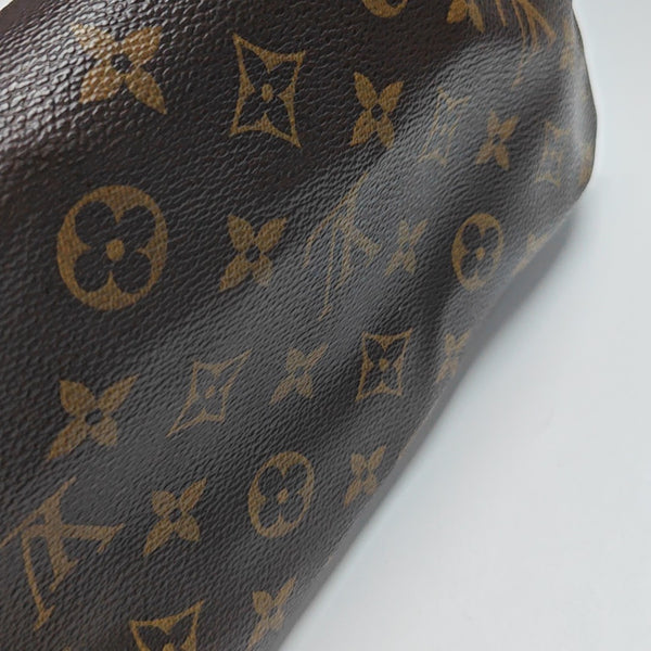 SPEEDY 25 Monogram Coated Canvas Brown
