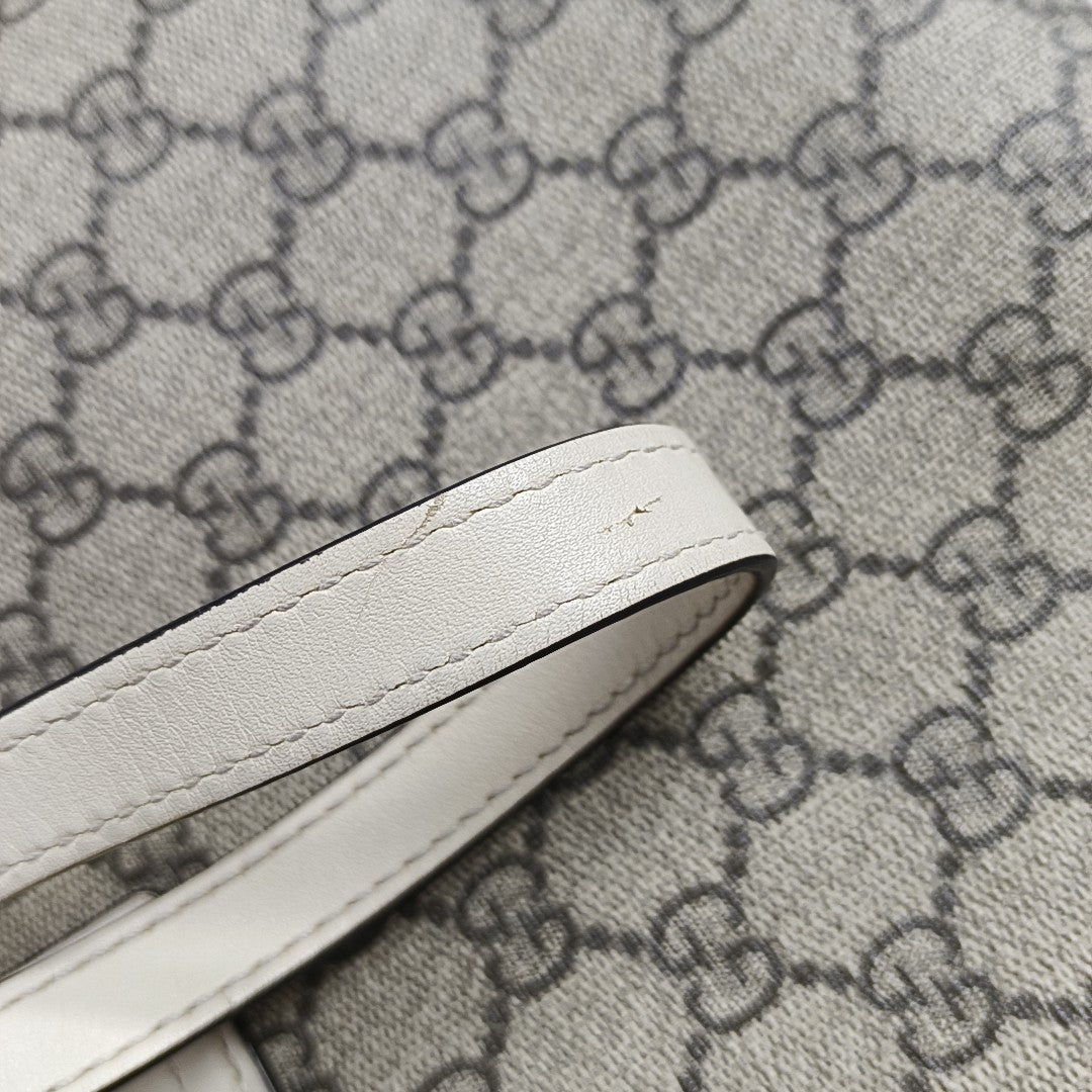 Padlock Medium Monogram Coated Canvas Beige