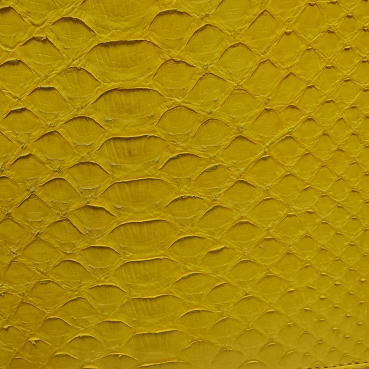 CLASSIC BOX Medium Python Yellow