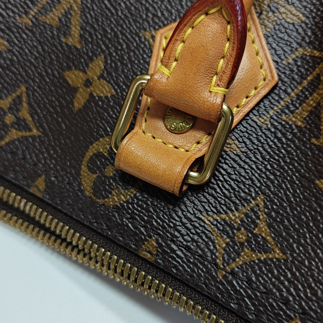 SPEEDY 25 Monogram Coated Canvas Brown